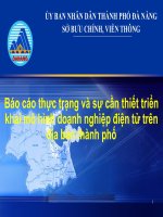 Báo cáo thực trạng và sự cần thiết và sự cần thiết triển khai mô hình doanh nghiệp điện tử trên địa bàn thành phố