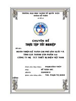 Hoàn thiện kế toán chi phí sản xuất và tính giá thành sản phẩm tại Công ty mẹ - Tổng công ty thiết bị điện Việt Nam 