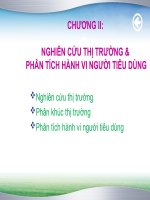 Nghiên cứu thị trường và phân tích người tiêu dùng