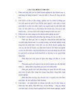 Các câu hỏi lý thuyết du lịch