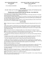 01/2006/QĐ-BCĐĐMĐH 