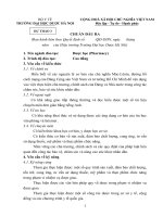 Chuẩn đầu ra trường đại học dược hà nội 