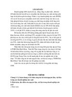 Tổ chức công tác kế toán nguyên liệu, vật liệu tại Công ty TNHH Hoá Bách Khoa