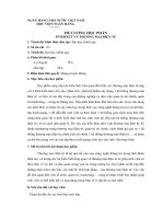 Đề cương internet và thương mại điện tử