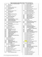 BangTaiKhoanKeToan_2010