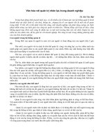 Văn hóa với quản trị nhân lực trong doanh nghiệp