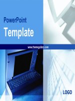 PowerPoint Templatexx