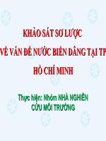 Khảo sát sơ lược về vấn đề nước biển dâng tại thành phố hồ chí minh