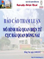 Mô hình hải quan điện tử cục hải quan đồng nai