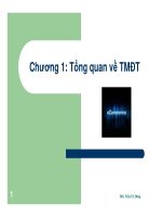 Thương mại điện tử