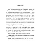 Một số ý kiến về tổ chức kế toán nguyên vật liệu trong các Doanh nghiệp 