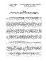 Chỉ thị tăng cường quản lý nhà nước đối với các hoạt động