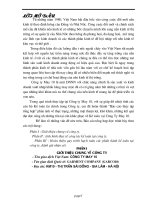 Báo cáo tổng hợp về tình hình thực tế công tác kế toán, quy trình hạch toán các phần hành kế toán tại Công ty may 10