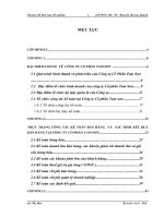 Hoàn thiện Kế toán bán hàng và xác định kết quả bán hàng tại Công ty Cổ phần Tam Sơn 