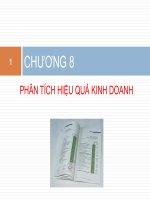 Phân tích hiệu quả kinh doanh