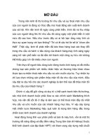 Một số chiến lược Marketing để thúc đẩy hoạt động của trung tâm bán lẻ Hishop