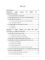 Kế toán tiêu thụ hàng hoá và xác định kết quả kinh doanh tại Công ty TNHH Ngân Hạnh