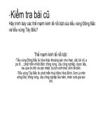 Giáo án môn địa lớp 9