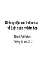 Kinh nghiệm của Indonesia về luật quản lí thảm họa