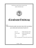 Bảo vệ thương hiệu cho hàng hoá Việt Nam trong quá trình hội nhập kinh tế quốc tế