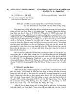 tăng cường sử dụng thư điện tử