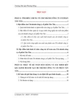 Thực tế kế toán bán hàng và xác định kết quả kinh doanh tại chi nhánh Công ty cổ phần Tân Tân