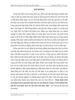 Hoàn thiện kiểm toán doanh thu trong kiểm toán báo cáo tài chính do Công ty TNHH Kế toán Kiểm toán Tư vấn Việt Nam thực hiện