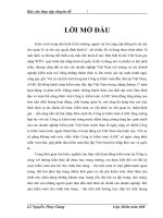 Kiểm toán chu trình bán hàng - thu tiền trong kiểm toán báo cáo tài chính do Công ty TNHH Dịch vụ Tư vấn Tài chính Kế toán và Kiểm toán