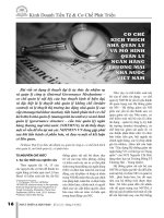 Cơ chế kích thích nhà quản lý và mô hình quản lý ngân hàng thương mại nhà nước việt nam