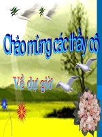 Bài giảng địa lý thành phố huế