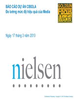 Báo cáo dự án CIBOLA Đo lường mức độ hiệu quả của Media Nielsen