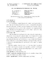 Chương trình đào tạo theo học chế tín chỉ ngành công tác xã hội