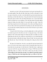 Hoàn thiện kế toán doanh thu, chi phí và xác định kết quả kinh doanh ở Công ty TNHH Sản xuất, XNK, Dịch vụ và Đầu tư Việt Thái