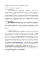 Ứng dụng thương mại điện tử ở Vietnam airlines