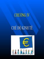 Chế độ kinh tế (2)