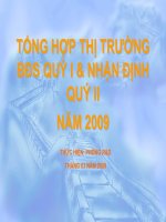 Tổng hợp thị trường BĐS quý I và nhận định quý II năm 2009