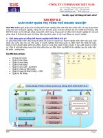 Giải pháp quản trị tổng thể doanh nghiệp