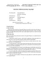 Chương trình giáo dục ngành công nghệ thông tin