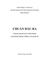 Chuẩn đầu ra ngành hệ thống thông tin kinh tế