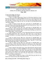 Báo cáo thường niên 2010 Công ty cổ phần chứng khoán tràng an