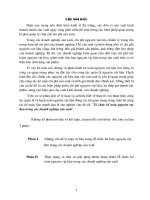 Tổ chức kế toán nguyên vật liệu trong các Doanh nghiệp sản xuất