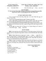 Quyết định Về việc ban hành “Quy định áp dụng mô hình mẫu về mạng nội bộ, mạng diện rộng cấp Sở, huyện và xã trên địa bàn tỉnh Thừa Thiên Huế