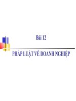 Pháp luật về doanh nghiệp