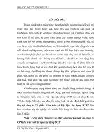 Hoàn thiện kế toán lưu chuyển hàng hoá và xác định kết quả tiêu thụ tại công ty Cổ phần Kiến trúc và Vật liệu xây dựng DTH