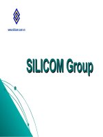 Silicom group
