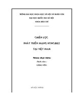 Chiến lược phát triển mạng HTmobile ở Việt Nam