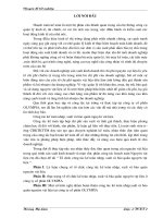 Tổ chức công tác kế toán nhập, xuất và bảo quản nguyên vật liệu tại Công ty cổ phần OLYMPIA