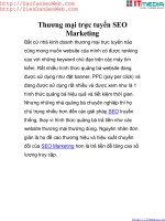 Thương mại trực tuyến SEO marketing