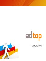 Adtop profile
