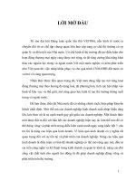 Một số giải pháp nhằm nâng cao hiệu quả hoạt động kinh doanh nhập khẩu tại công ty Cổ phần dược và vật tư thú y